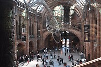 Natural History Museum