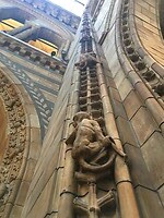 Natural History Museum
