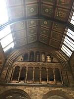 Natural History Museum