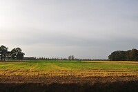 Fietsrit