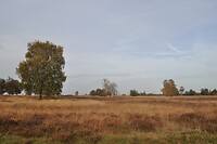 Drentsche Aa