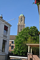Peperbus