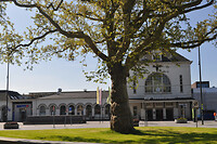 Station Leeuwarden