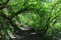 Elidir Trail