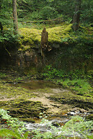 Elidir Trail