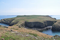Skomer Island
