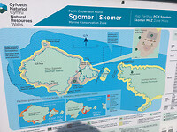 Skomer Island