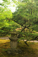 Japanse tuin