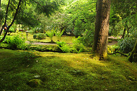 Japanse tuin