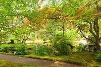 Japanse tuin