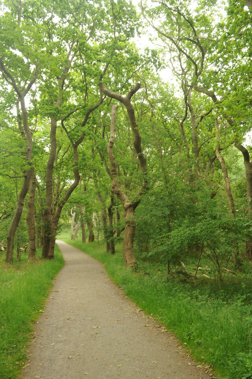 Waalsdorpervlakte