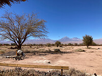 Vanuit de lodge