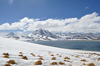 Laguna Miscanti