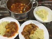 ballekes en nog vanalles in tomatensaus en puree