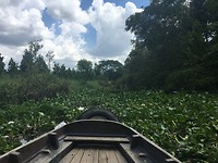 Varen op wel heel dicht begroeid kanaal