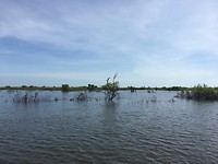 Basin op Angkor site