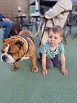 Oliver & hond