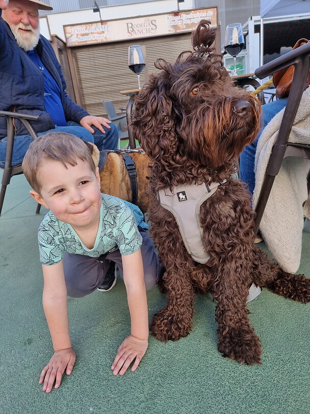 Oliver en hond 2