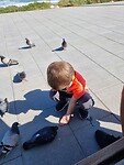 Oliver voert een duif