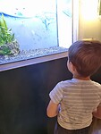 Aquarium