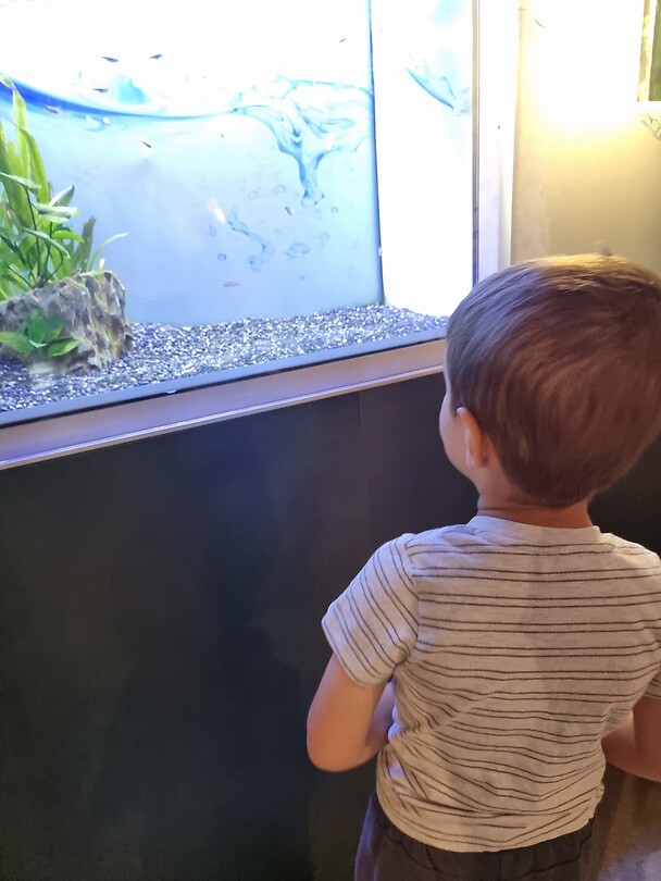 Aquarium