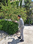 Papa 'praat' met bomen