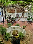 De binnentuin