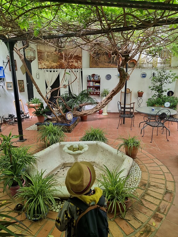 De binnentuin