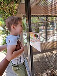 Lachen met de vogel