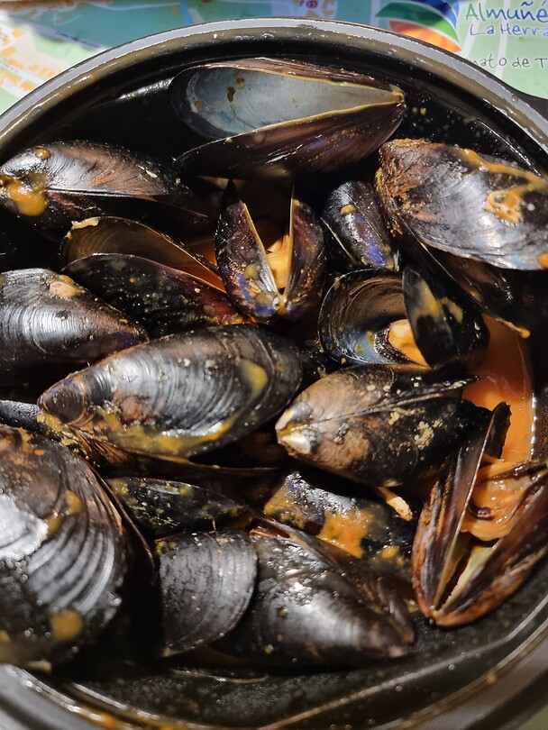 Mejillones
