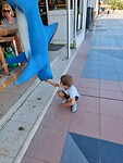 De blauwe haai