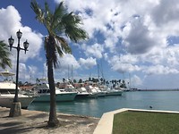 haven van Oranjestad