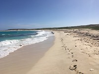 Grapefield Beach