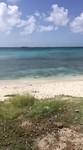 Boca catalina