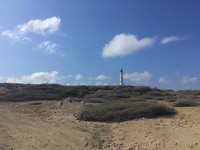 California Lighthouse