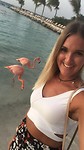 Flamingo party