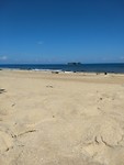 IMG_20190331_142741852