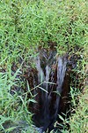 IMG_2995