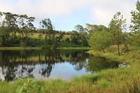 IMG_2990