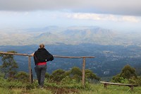 IMG_2950