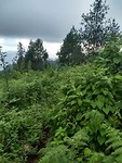 IMG_20190420_164527161_HDR
