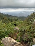 IMG_20190420_163822781_HDR