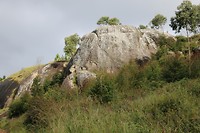 IMG_2914