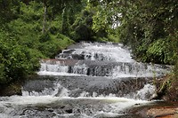 IMG_2908