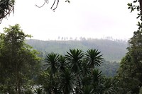 IMG_2783