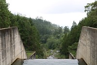 IMG_2769