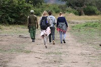 Wandelsafari