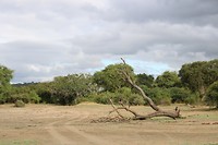 IMG_3278