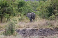 IMG_3238