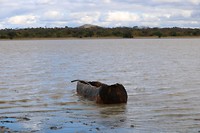 IMG_3192